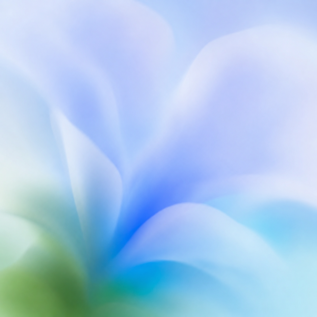 Fabric Neural Network